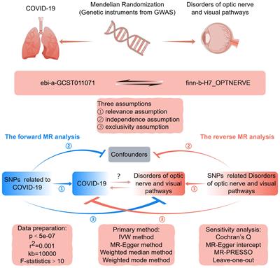 Causal effect of COVID-19 on optic nerve and visual pathway disorders: genetic evidence of lung-brain axis